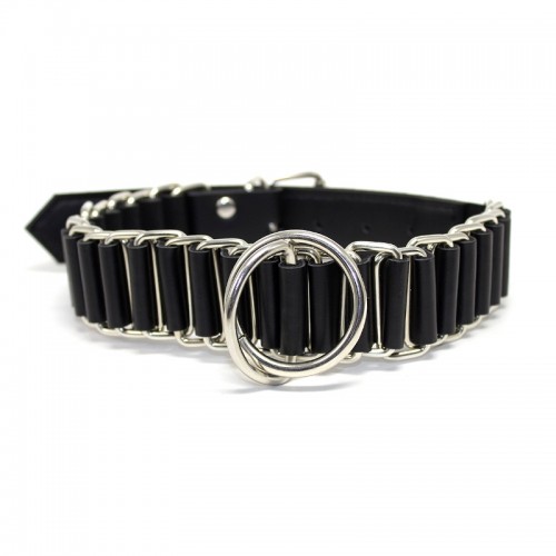 halsband met gesp en riem