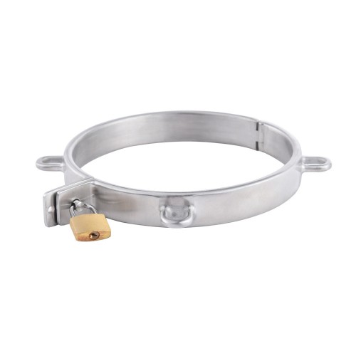 halsband metaal