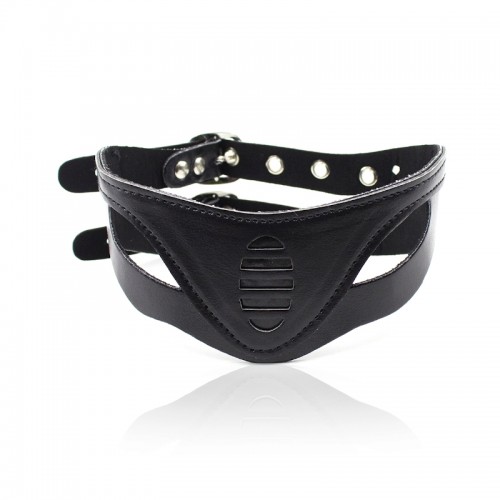 halsband zwart twee gespen