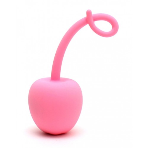 paris-kegel-egg-ball-roze vagina ei vibrator