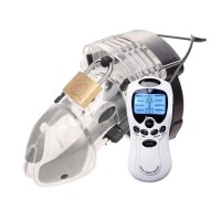 elektro penis kooi met controller