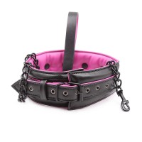 halsband paars kussen riem