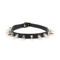 halsband spikes zwart