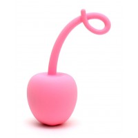 paris-kegel-egg-ball-roze vagina ei vibrator
