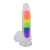 regenboog dildo siliconen transparant