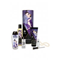 Shunga Carnal Pleasures