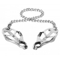 Vlinder tepelklemmen zilver met zilver ketting