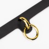 bdsm halsband kunst leer gouden ring