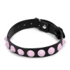 bdsm halsband roze studs