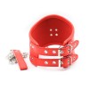 PU leren halsband met riem en ring - rood achterzijde