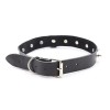 bdsm halsband met spikes zwart