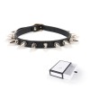 halsband spikes zwart plus gifbox