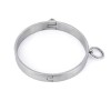 bdsm metalen halsband