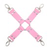 roze hogtie