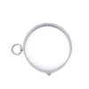 halsband metaal met ring