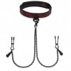 Fifty Shades tepelklemmen ketting halsband