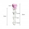 glass_dildo_nooitmeersaai