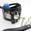 zwarte halsband rode ballgag riem