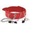 halsband_ketting_tepelklemmen_sm