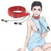 halsband_ketting_tepelklemmen_borsten