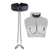halsband_ketting_tepelklemmen_bdsm_sm