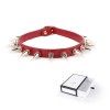 halsband spikes rood plus gifbox