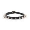 halsband spikes zwart