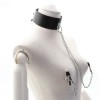 Tepelklemmen met halsband en slot - zwart