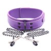paarse halsband met tepelklemmen