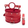 rode halsband met riem en gag