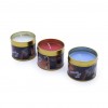 Sensuele-Hot-Wax-kaarsen-Set-voor-BDSM