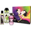 shunga massage oil