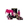 Shunga metal box gift massage kit voorspel genot