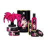 Shunga metal box gift massage kit strelen bdsm