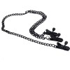 sm tepel vaginaklemmen ketting