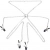ketting tepel en clitoris klemmen set zilver