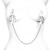 Vlinder tepelklemmen zilver met zilver ketting