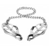 Vlinder tepelklemmen zilver met zilver ketting