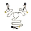 tepelklemmen-met-ketting-en-vaginaklem-bdsm