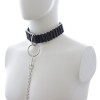 zwarte halsband met gesp en riem